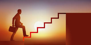 Parcours Professionnel